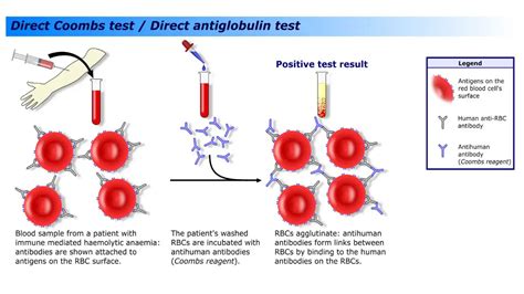 dat blood test bottle|blood bottle toxicology test.